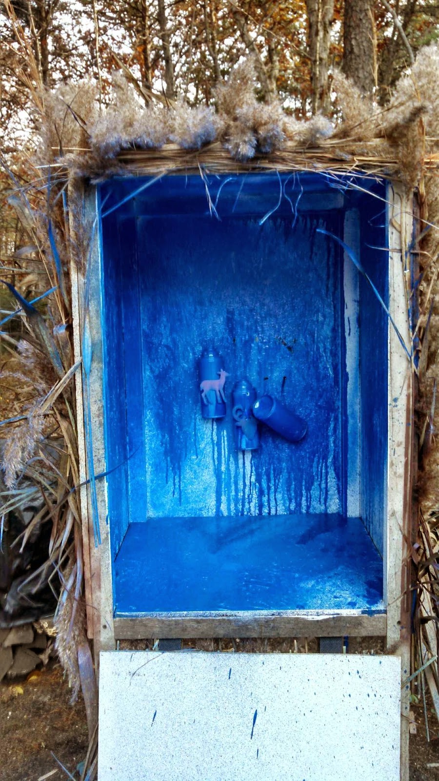 Spray Paint Gender Reveal Spray Paint Gender Reveal