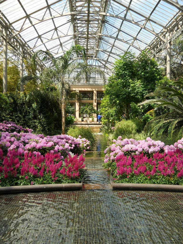 Anemone Times The Conservatory at Longwood