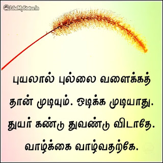 Tamil motivational quote