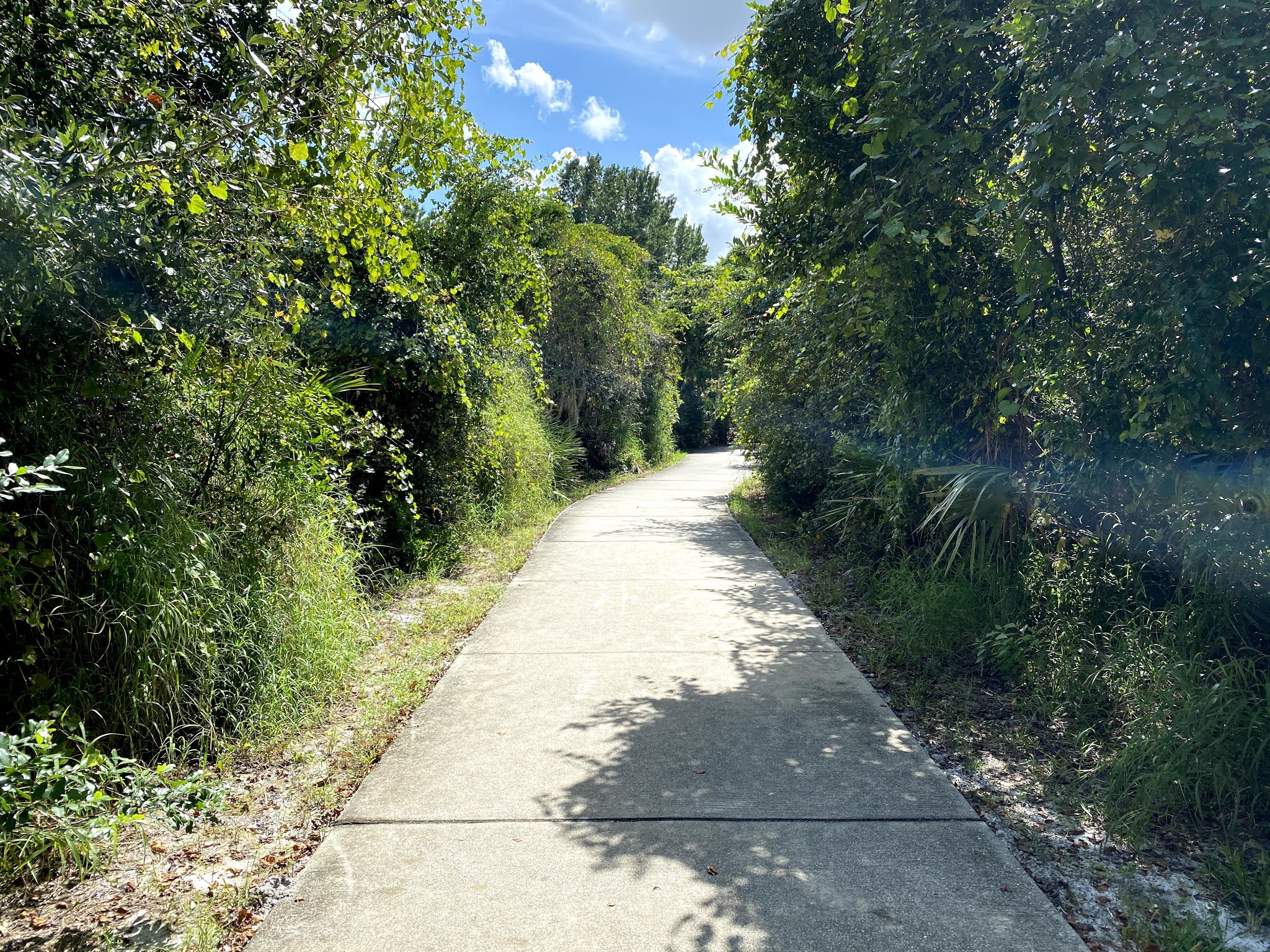 Shadow Bay Park Orlando Florida Travel Ideas