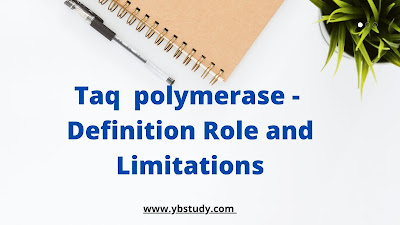 Taq polymerase