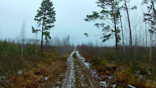 ПВД3Д - Мещёра: Черусти-Спасск Рязанский, через Голованово