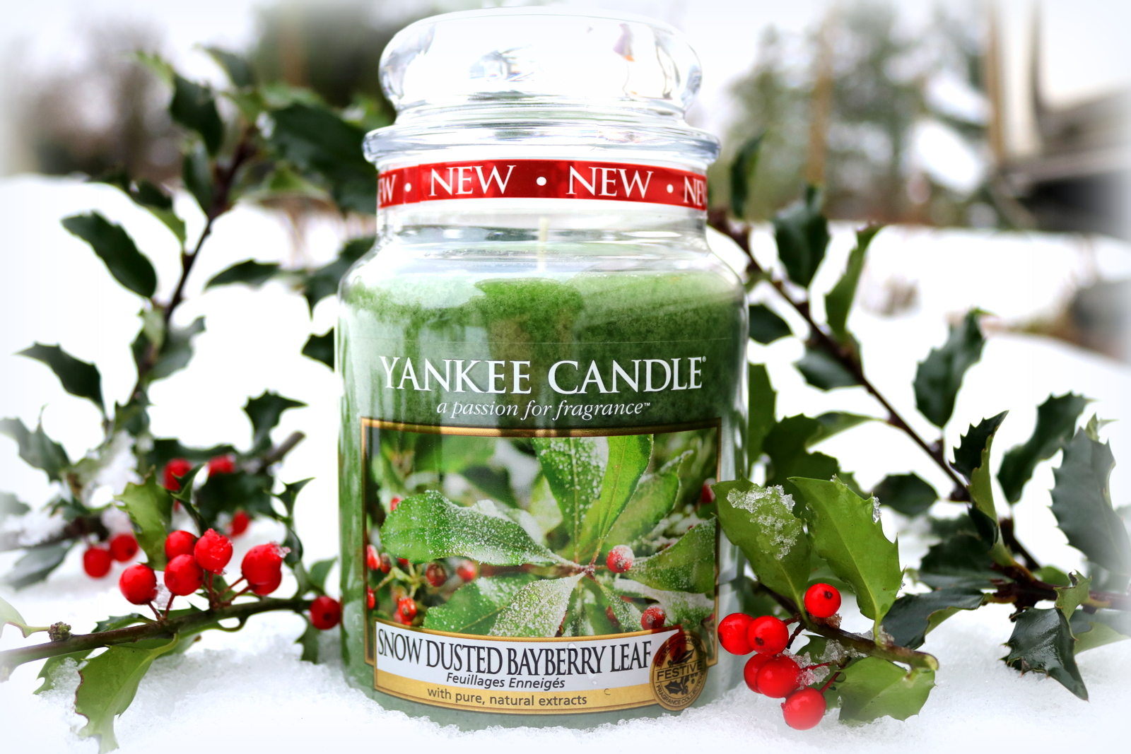 Snow Dusted Bayberry Leaf Yankee Candle