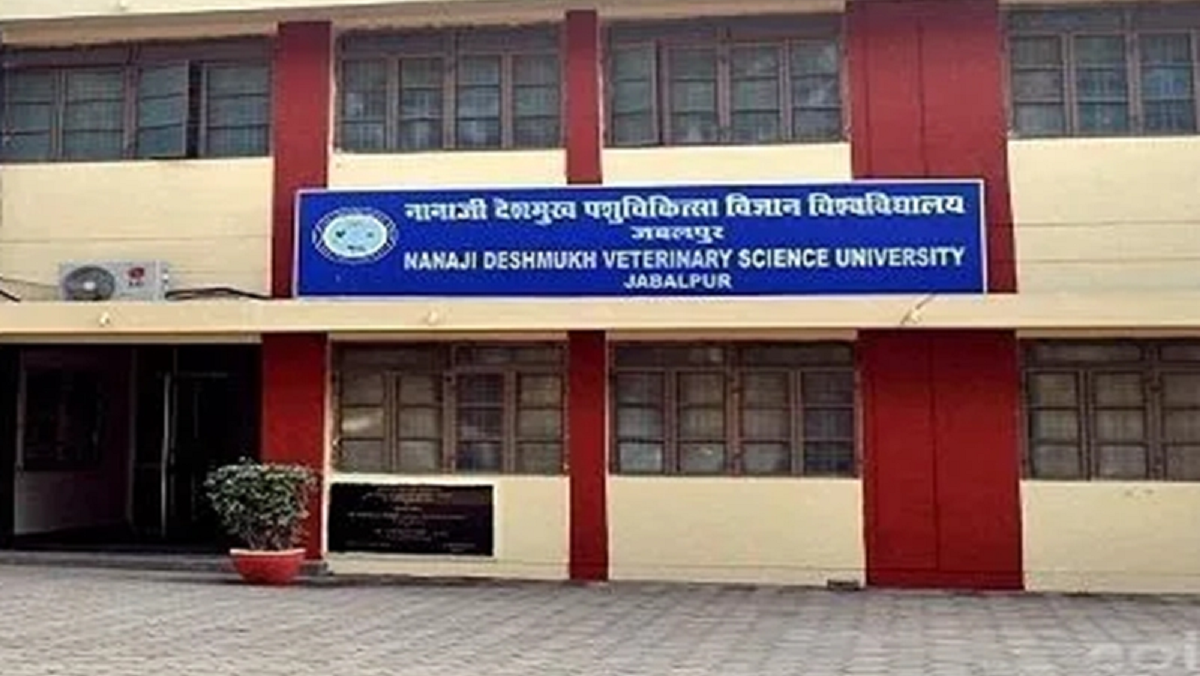 NDVSU JABALPUR के VETERINARY COLLEGE की परीक्षाएं स्थगित MP NEWS