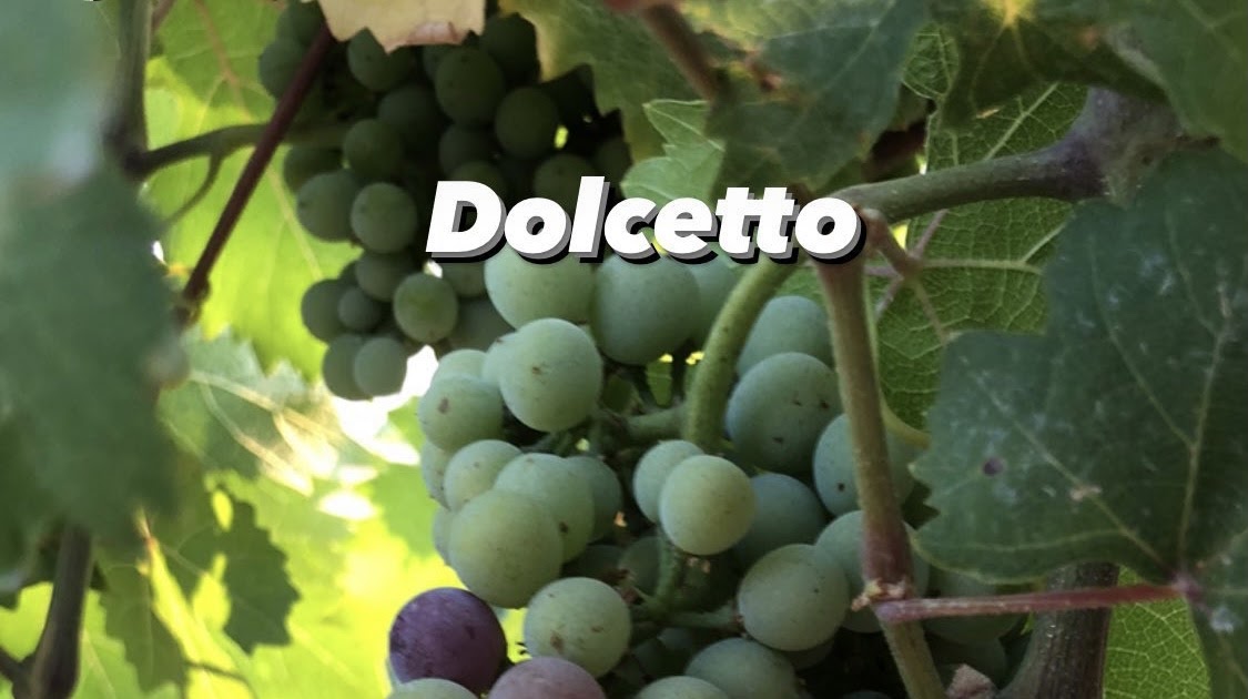Veraison begins in eastern Washington