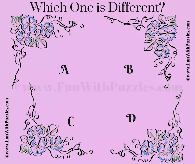 Can you Pick the Odd One Out in this Puzzle Question?