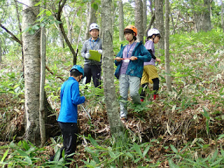 天然資源の保全 - 天然資源の保全 - 行動と対策
