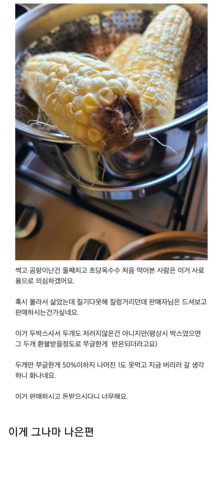 난리난 충주 농가돕기 옥수수 상태 - 꾸르