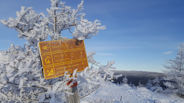 Tout près du sommet du mont Olivine