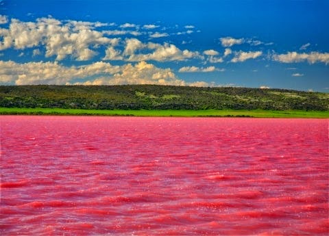 The Pink Lake West Australia
