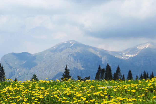 monte avena