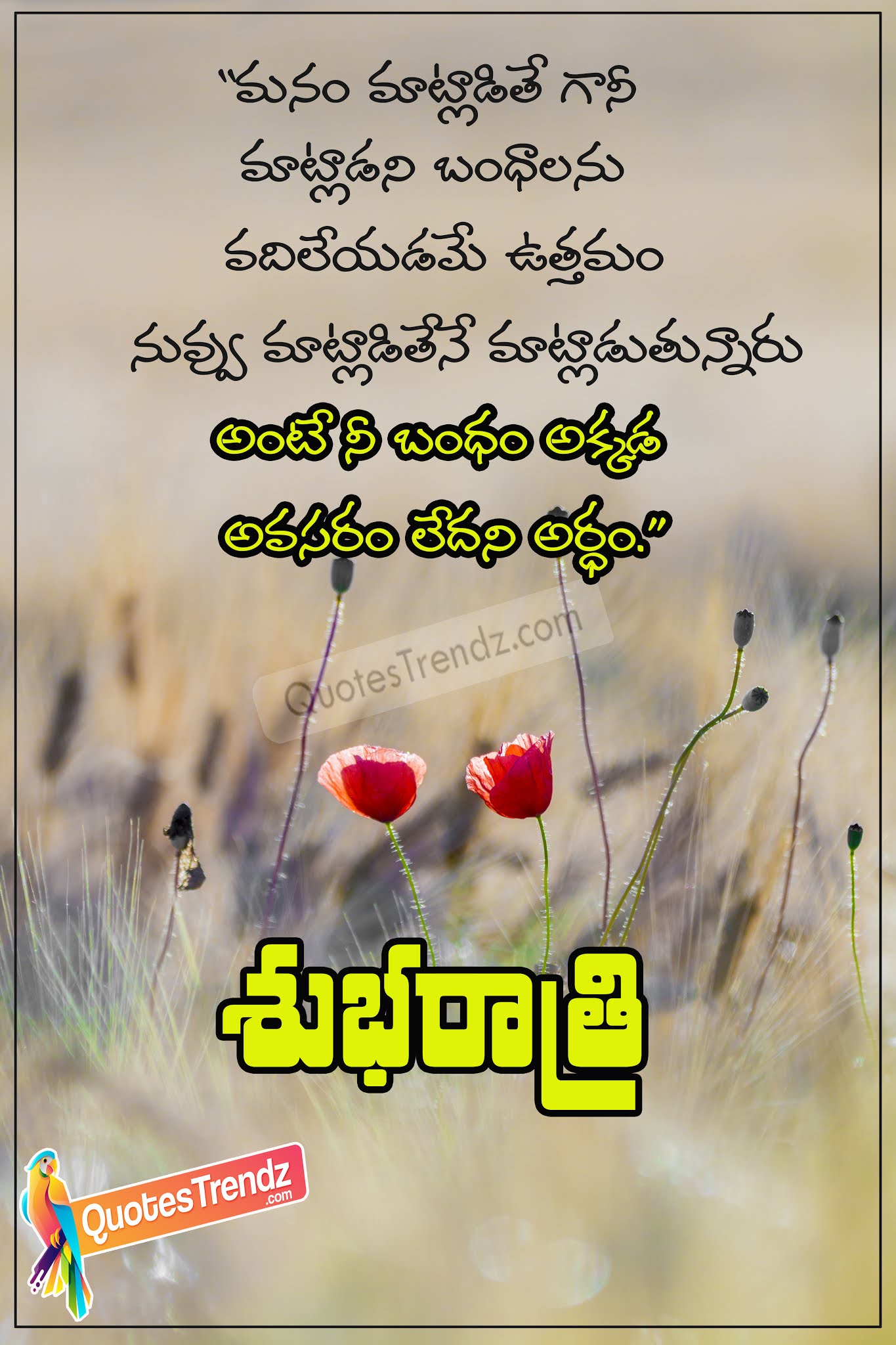 Good Night Quotes with Images