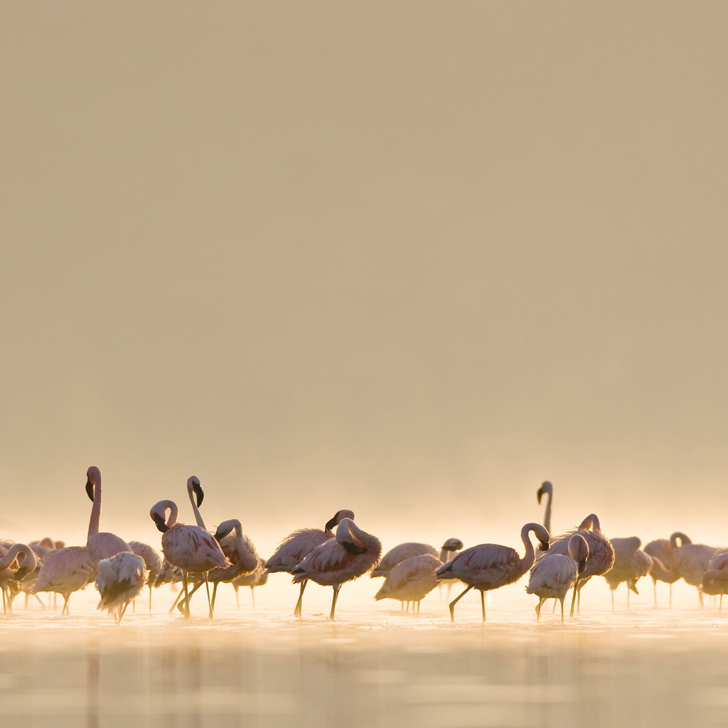 50+ Awesome iPad Wallpapers - HD Wallpapers - 9to5Wallpapers