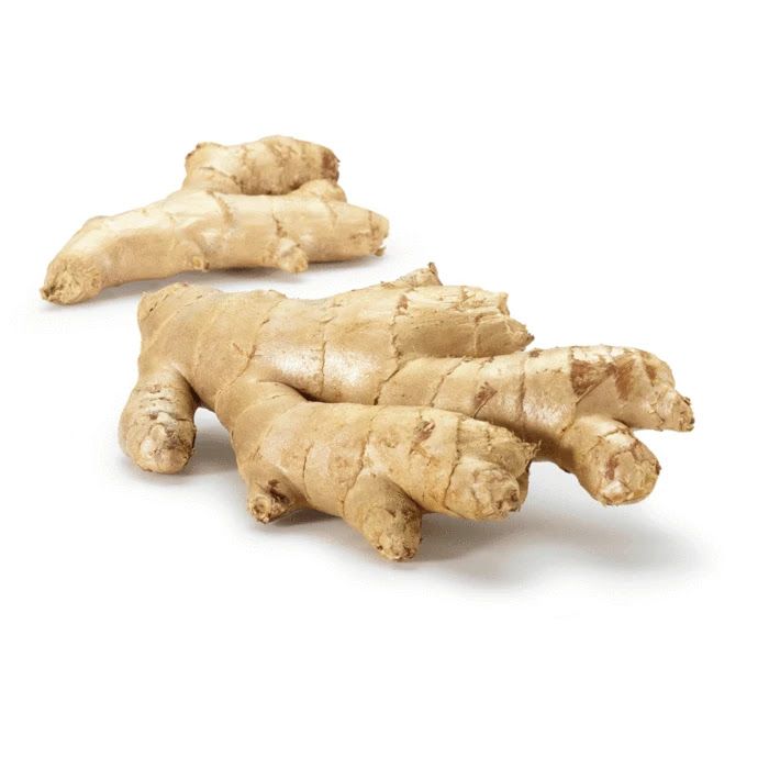 Preserved Stem Ginger in Syrup The English Kitchen