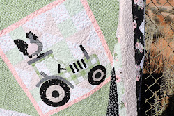 quilts quilt applique farmhouse riley blake zebra fabric 1323 tour sparkle catch trust gorgeous hard
