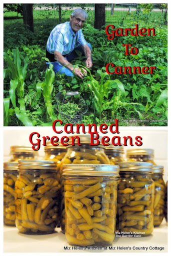 Canning Green Beans: From Garden to Canner