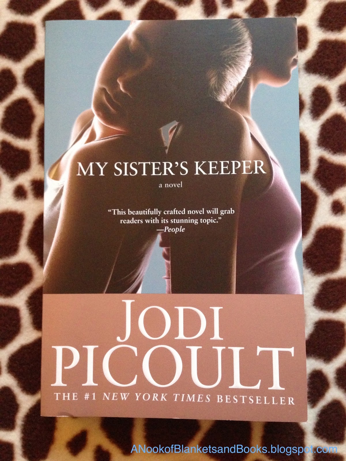 My sister's keeper novel image