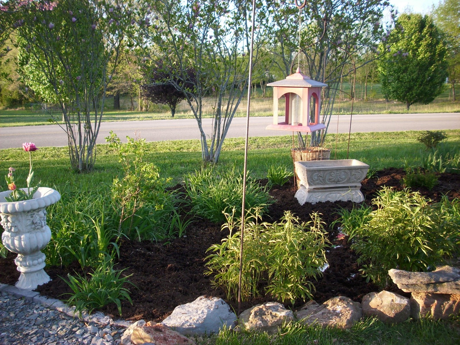 Peonies & Magnolias We Live to Mulch
