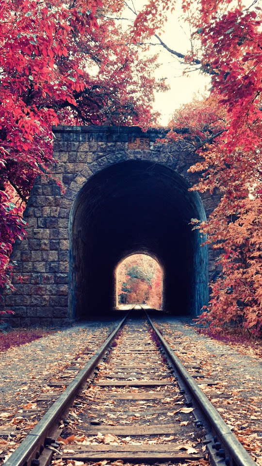 Autumn Train Tunnel Red Tree Leaves  Android Best Wallpaper
