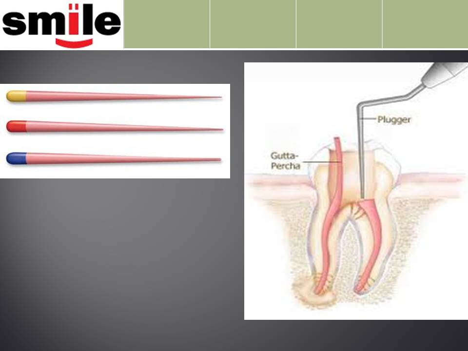 Gutta Percha ( G.P )