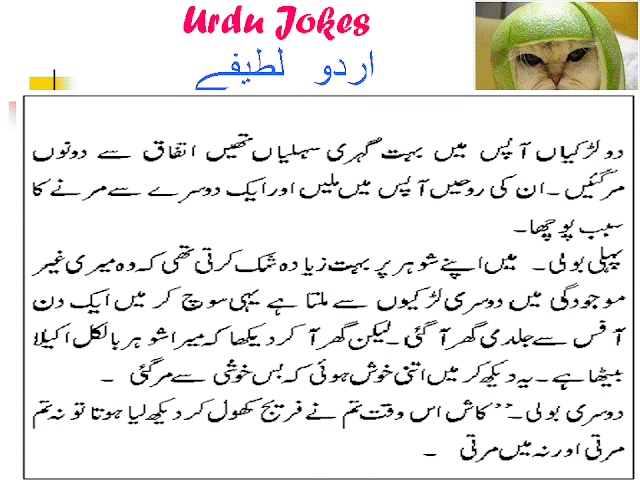  http://apniactivity.blogspot.com/p/urdu-jokes.html