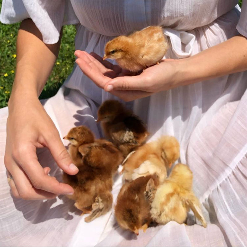 10 THINGS WE LOVE THIS WEEK JULY 2020