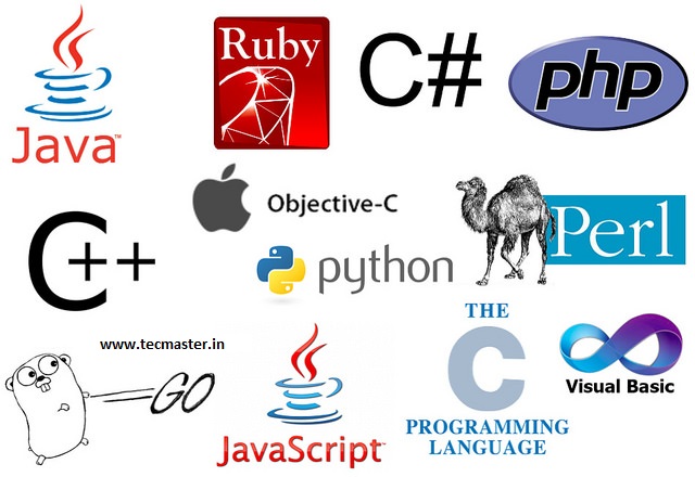 best 5 programming languages to learn for getting the job at google microsoft programming language