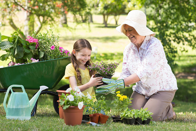 Садоводство - это одно из 12 лучших увлечений, которые не дадут вашему мозгу состариться и деградировать!