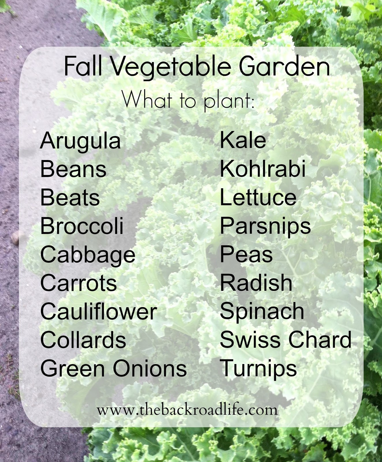 The Backroad Life Fall Ve able Garden when to and what to plant The Backroad Life Fall Ve able Garden when to and what to plant