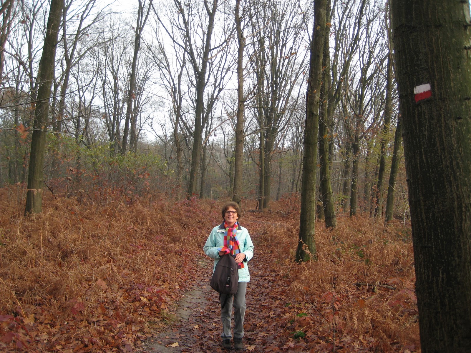 De paden op, de lanen in.: Beek - Groesbeek (8 km)