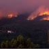 39 δασικές πυρκαγιές πυρκαγιές   το τελευταίο 24ωρο 