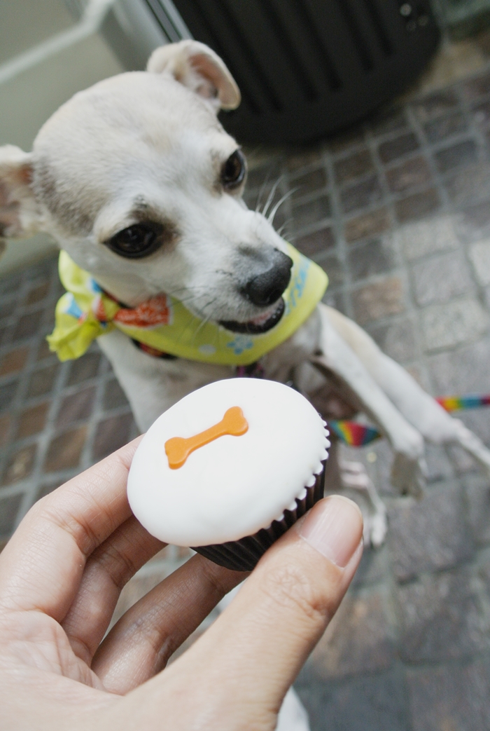 HAPPYHAZEL Happy Tries Sprinkles Doggie Cupcake!