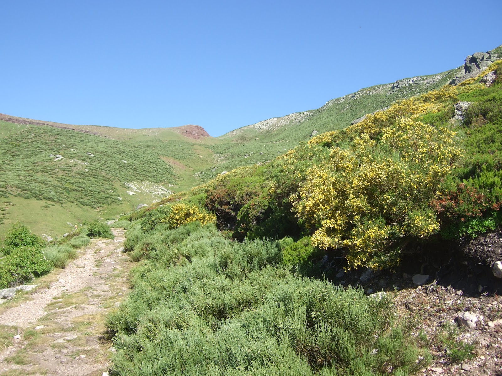 North Spain Rambler Cueto Mañín