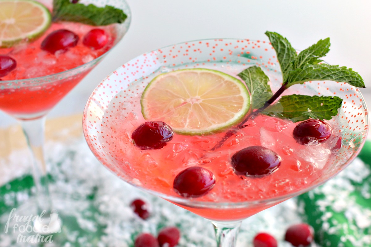 Frugal Foodie Mama Cranberry Ginger Gin Fizz