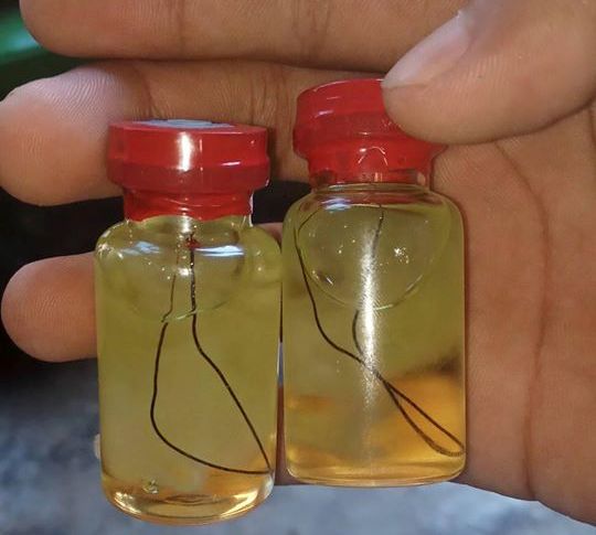 Cara Menggunakan Minyak Duyung Jarak Jauh Soal Sekolah