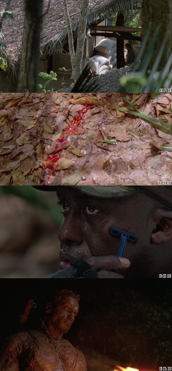 Predator 1987 BRRip 720p 480p Dual Audio Hindi English Full Movie Download