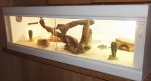 build_a_bearded_dragon_cage/melamine_boards.jpg