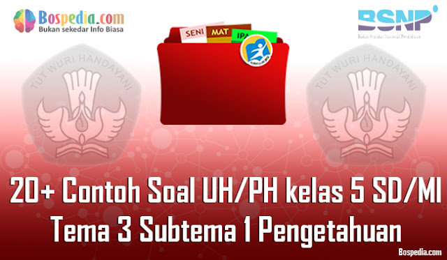 20+ Contoh Soal UH / PH untuk kelas 5 SD/MI Tema 3 Subtema 1 Pengetahuan