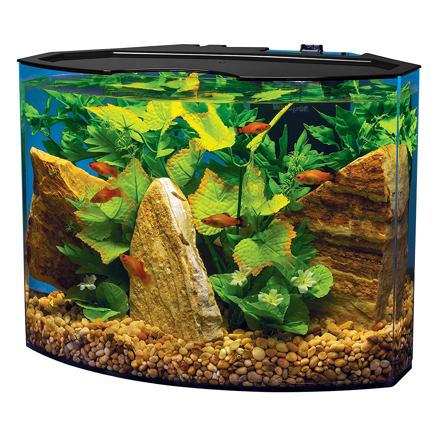Best Aquarium Starter Kit Aquarium Starter Kits