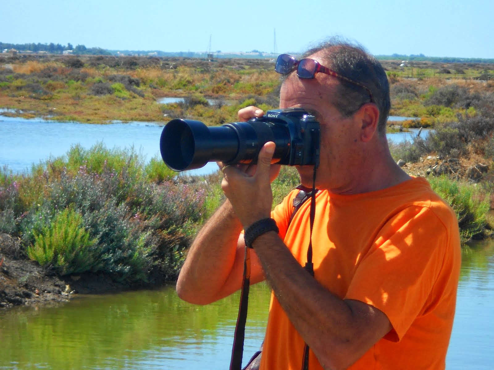 Tomás( fotografias naturaleza)