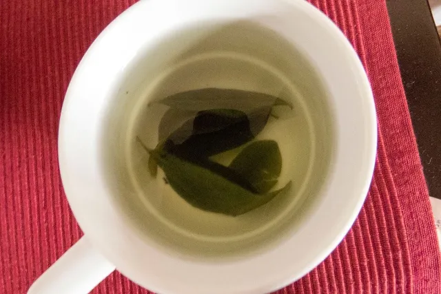 Peru foods: Coca tea steeped from fresh leaves