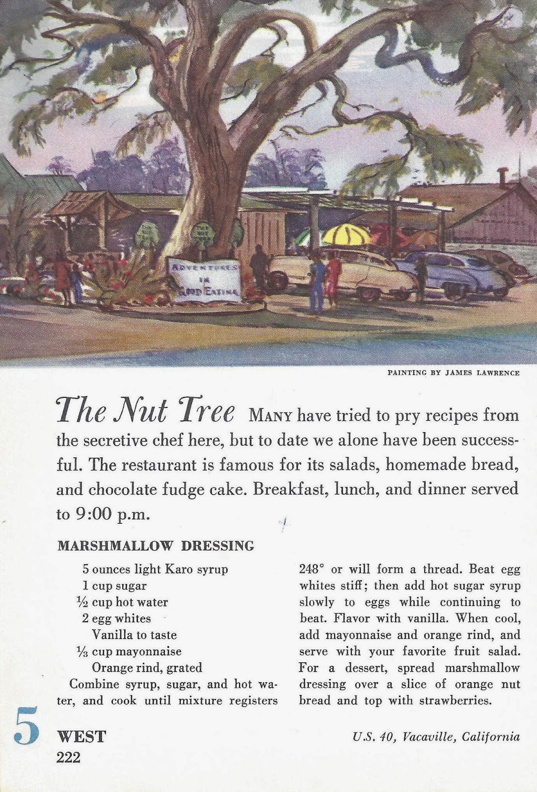 Thrift Shop Commando Scatterbrained and marshmallow dressing