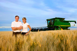 How to Starting Wheat Farming Business