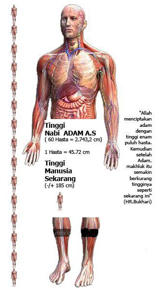 Kumpulan Foto yang Diduga Telapak Kaki dan Kuburan Nabi Adam