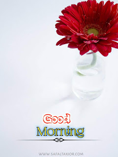 a beautiful good morning images