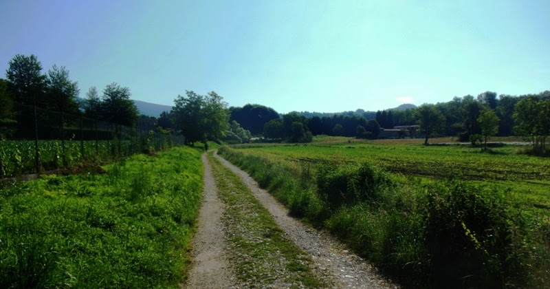 Attraversando il Parco della Brughiera