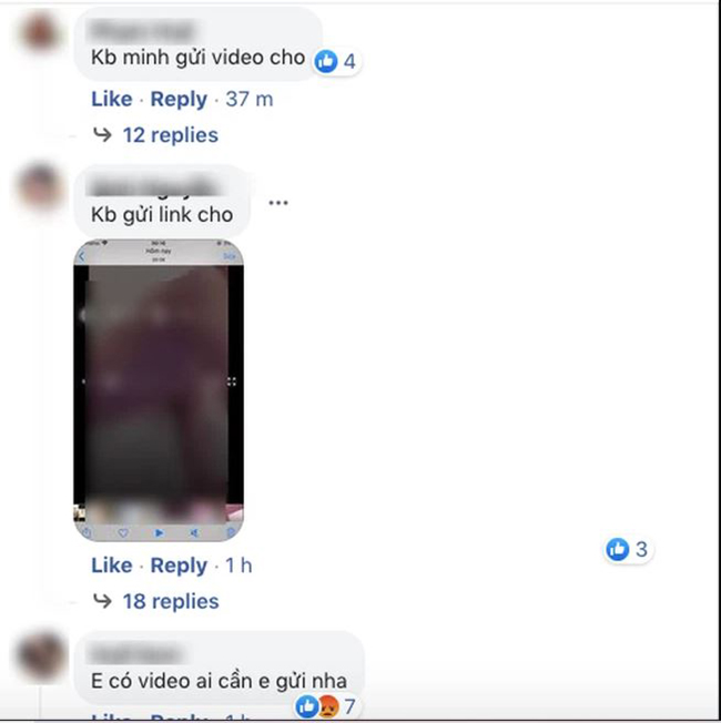 clip bé k9 và k12 3