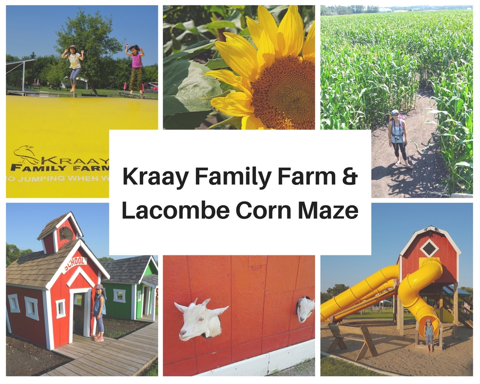 Endless Fun at Kraay Family Farm & Corn Maze Play Outside Guide