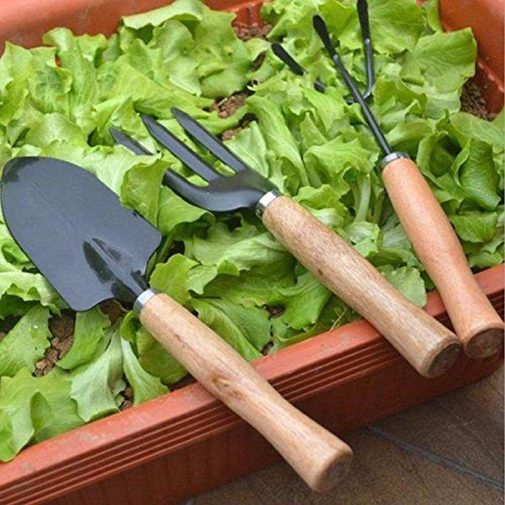 3 Pcs Mini Garden Tool Set Gardening Shovel, Gardening Tools kit Hand