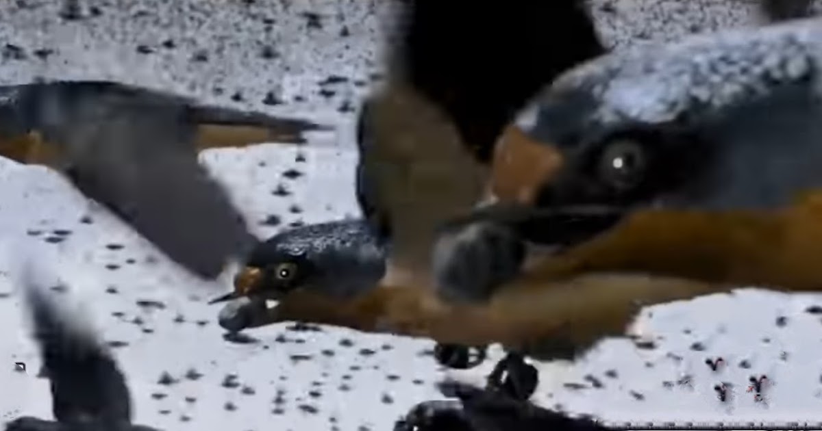 Burung Ababil Pasukan Langit